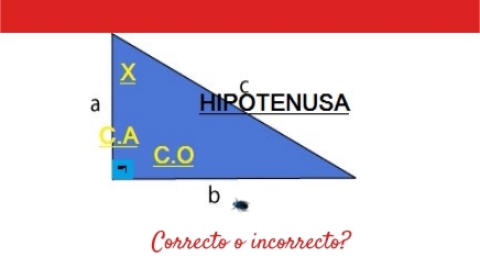 CORRECTO - Copy