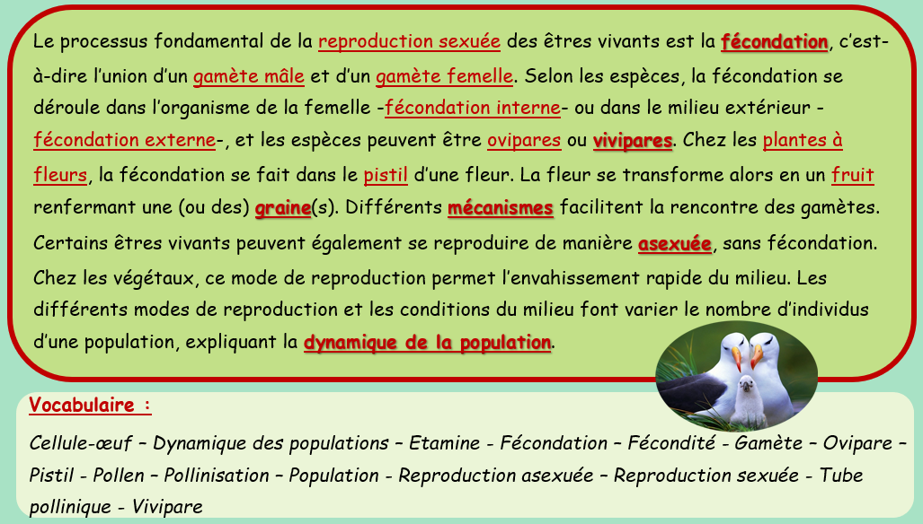 Reproduction des êtres vivants